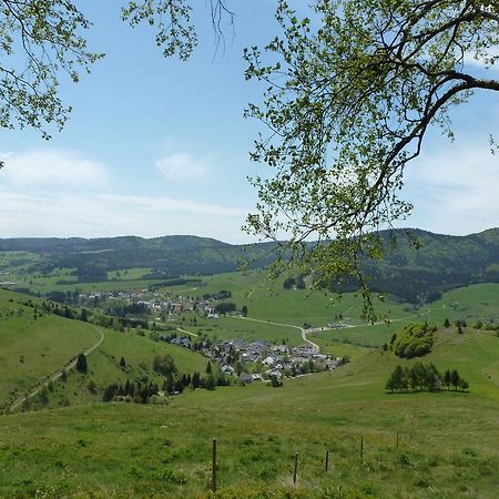 דירות Wohnpark Schwarzwaldblick Bernau מראה חיצוני תמונה